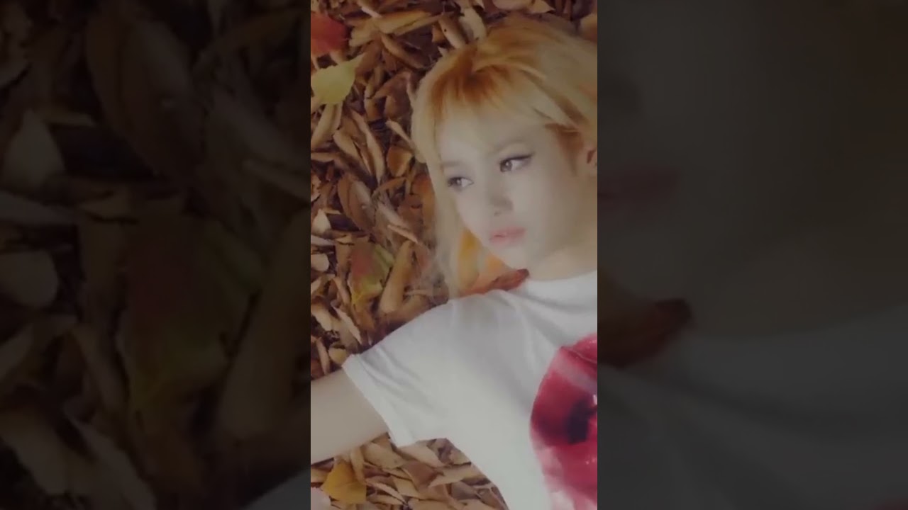 [AI Cover] If Playing With Fire Has a rap line for jennie with lisa 