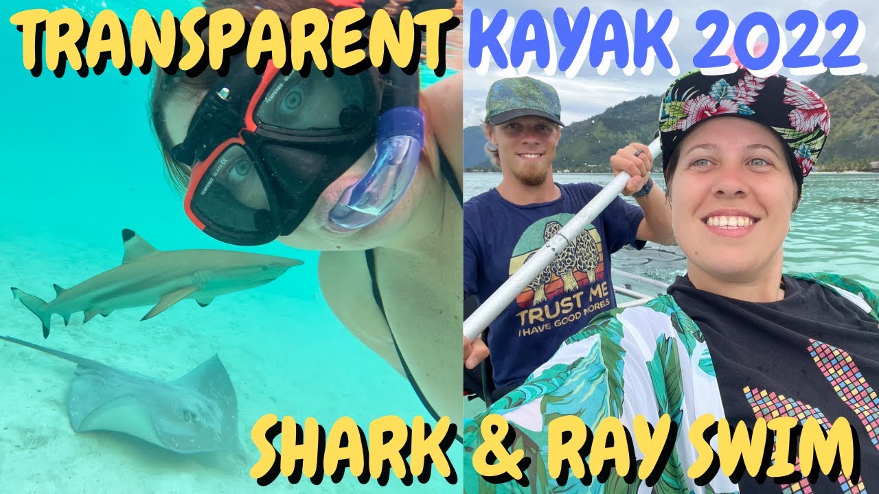 Sunset Tour on Moorea Lagoon by Transparent Kayak: 4K Drone & Swimming with Sharks and Stingray 2022