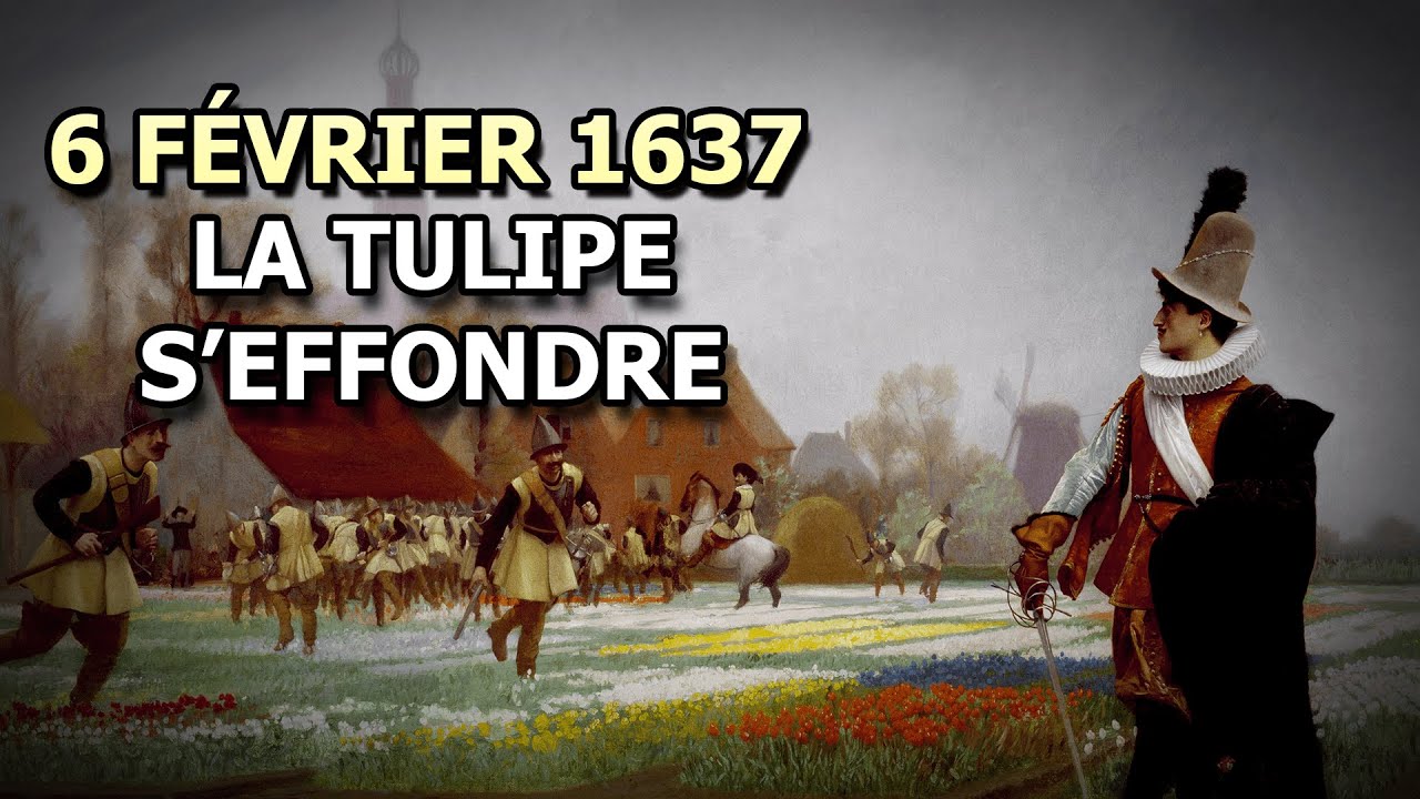 La Tulipomanie, ou la Crise de la Tulipe - 6 f&eacute;vrier 1637 | AJDH