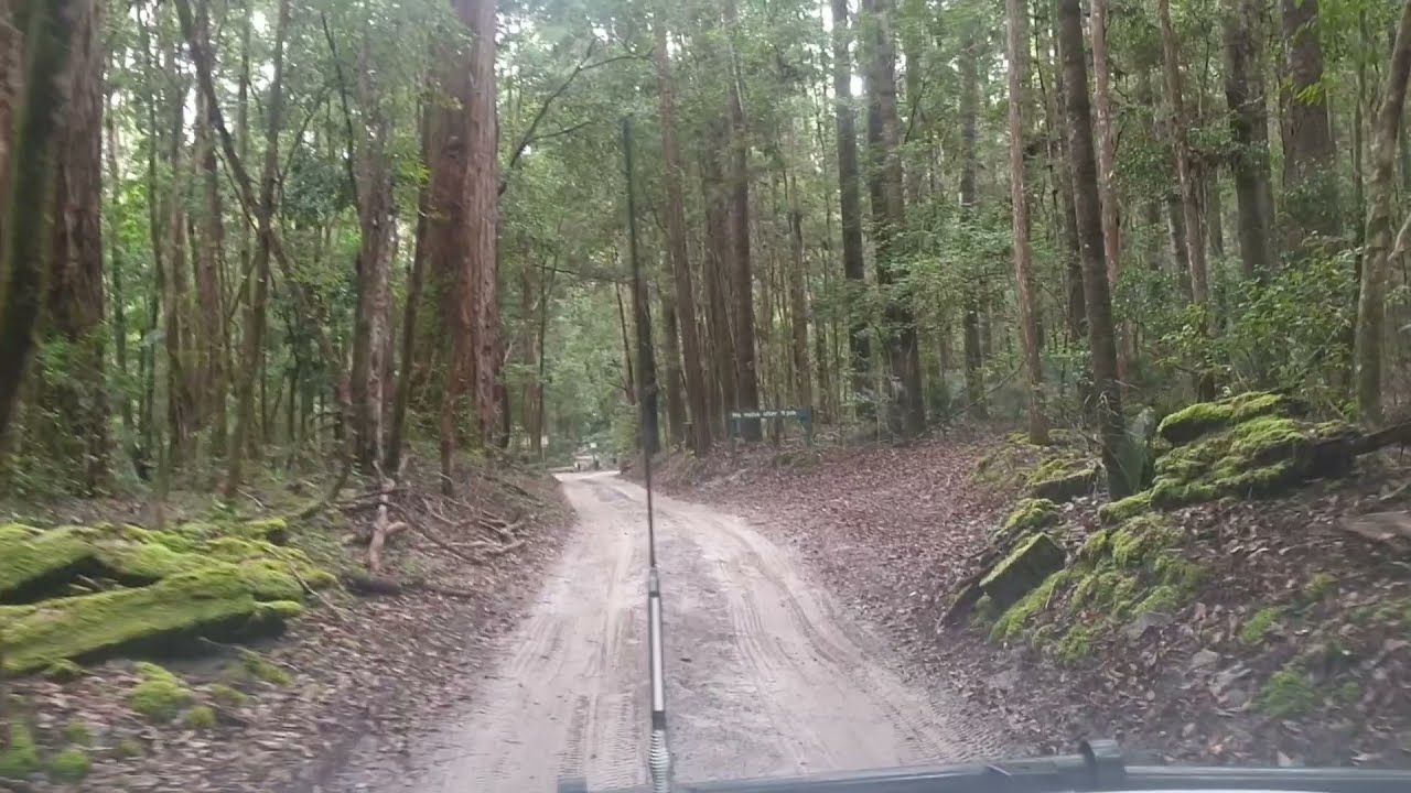 Central Station Camping Area Fraser Island | A Drive Through The Camping Grounds | All About Fraser