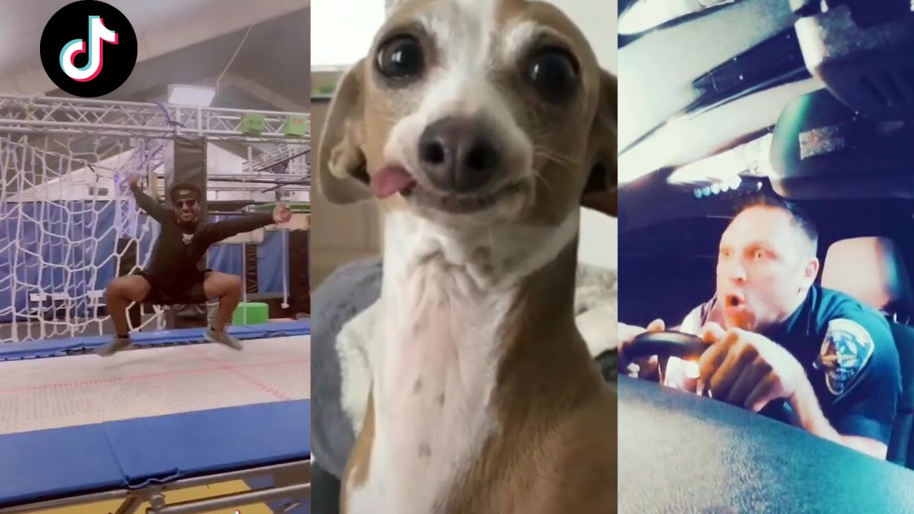 Tik Tok Memes That Got Me A Date With Your Mom