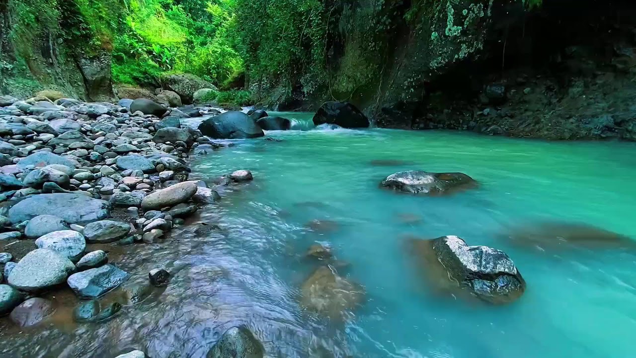 Mountain Stream Gentle Flow, Forest River Noise, Sleeping