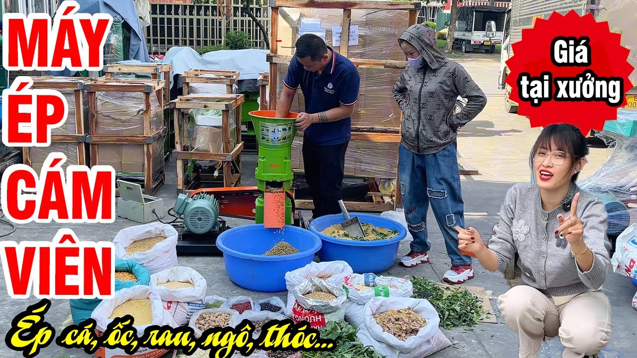 🎯 Trong 1 Tuần Tới, Trang Trại Sẽ GIẢM 40% Chi Phí Với Máy Ép Cám Viên S200!