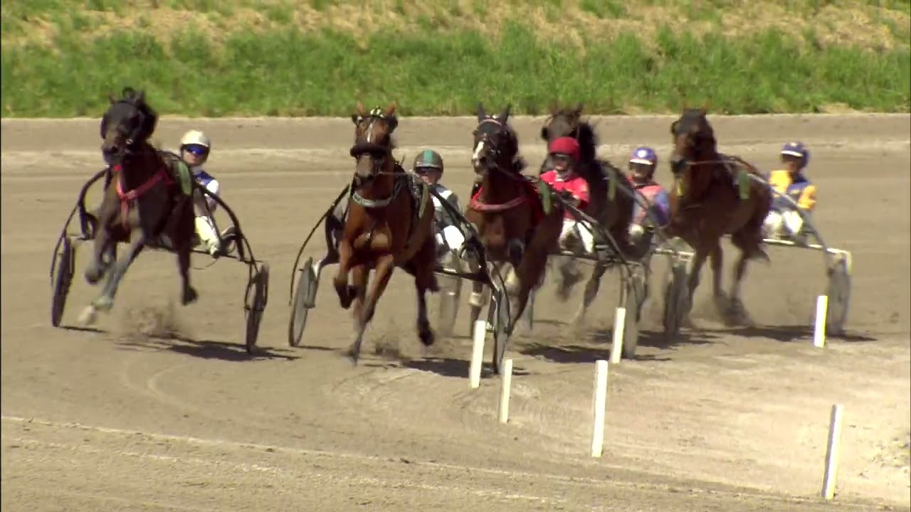 Victoria Park Wolvega 29-06-2024 Koers 9 Nance BB - Frans van der Blonk