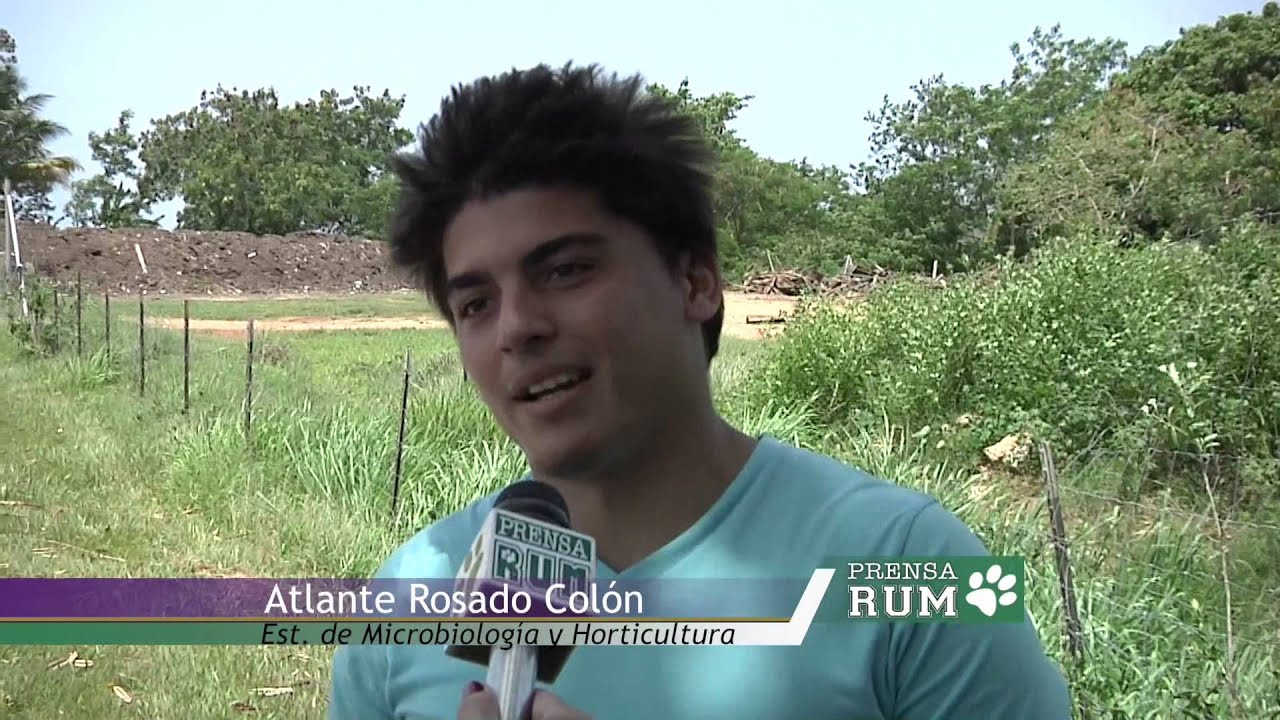 Estudiantes del RUM muestras cómo hacer huertos caseros