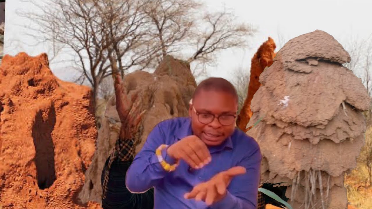 If You Ever Come Across This Strange Anthill, You Are Very Lucky - Get 7 Eggs And Do This