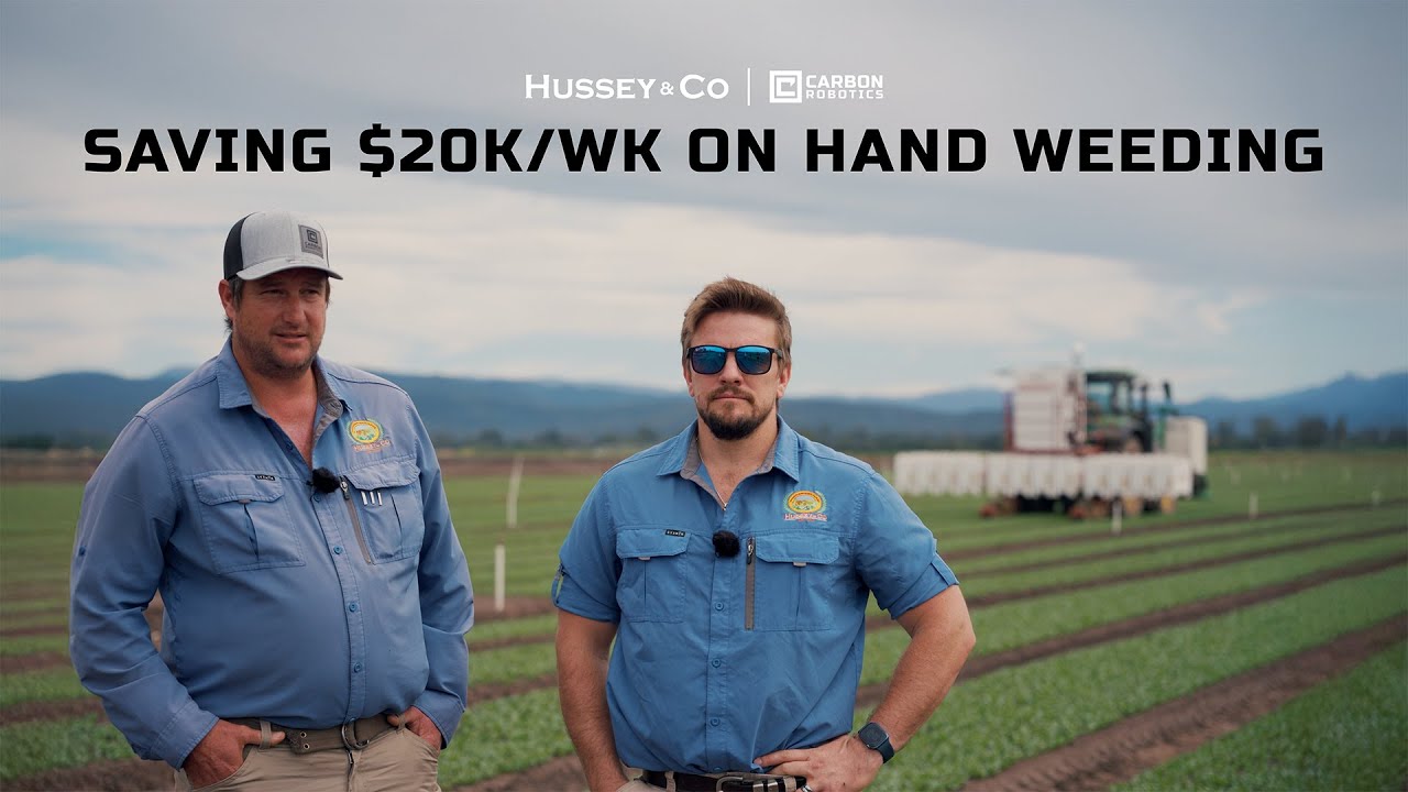 How Hussey Cut $20,000/Week in Hand Weeding Costs with LaserWeeder G2
