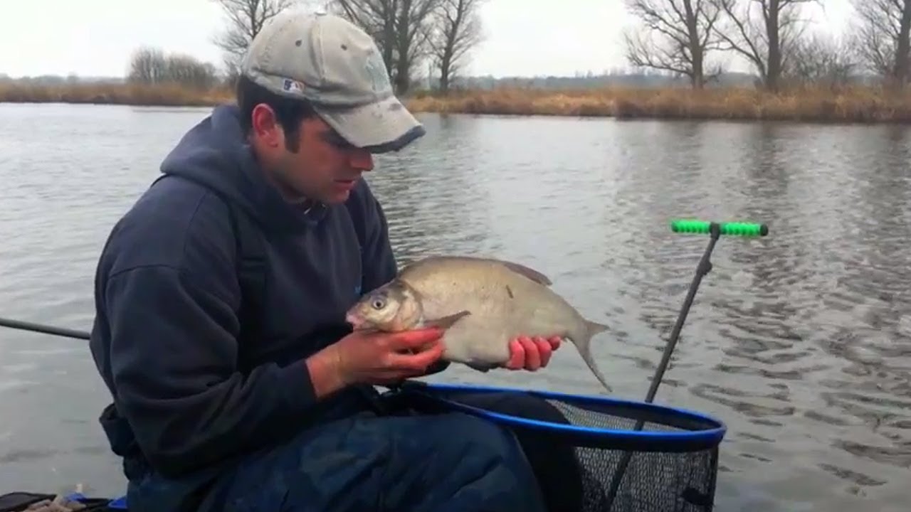 Feeder Fishing Fishing For Bream & Skimmers River Bure - Part Two