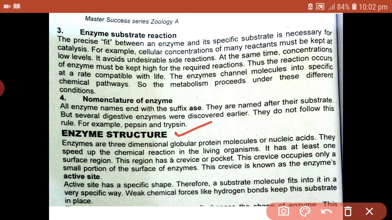 Enzyme structure and enzyme function (lecture 3)