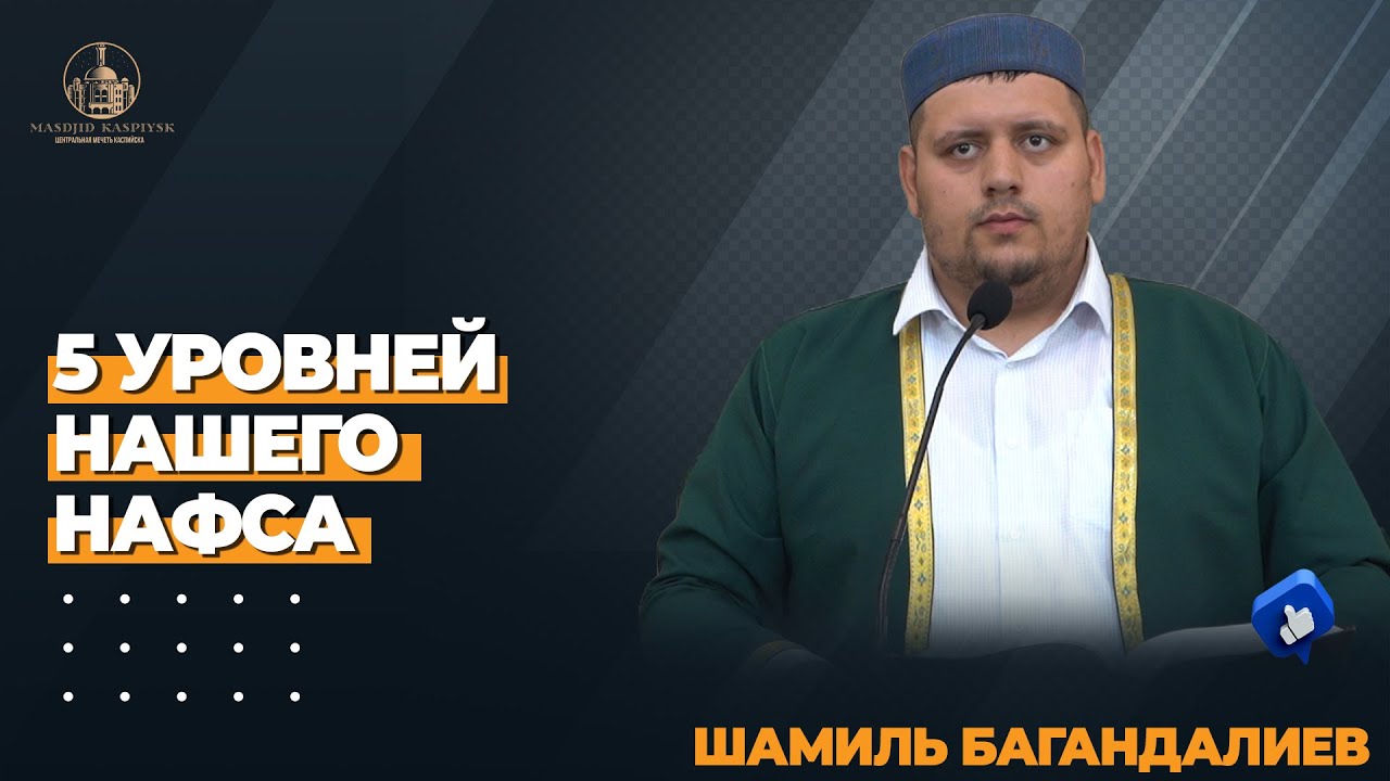 5 УРОВНЕЙ НАШЕГО НАФСА / Шамиль Багандалиев