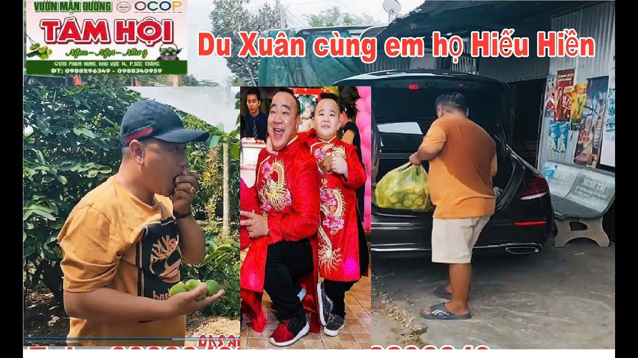 MÙNG 9 TẾT DU XUÂN BÍNH NGỌ VƯỜN MẬN XANH ĐƯỜNG Ở PHƯỜNG SÓC TRĂNG - MẬN ĐƯỜNG TÁM HỘI SẢN PHẨM OCOP