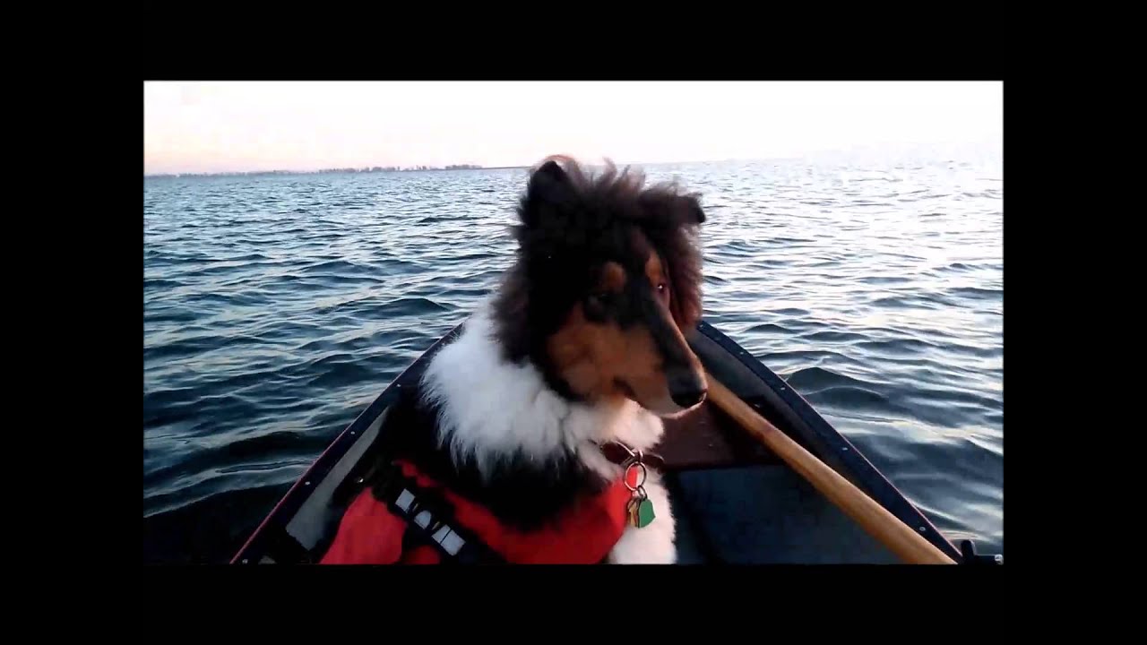 Canoe Tacking strategies video.  How to Canoe in wind and waves.