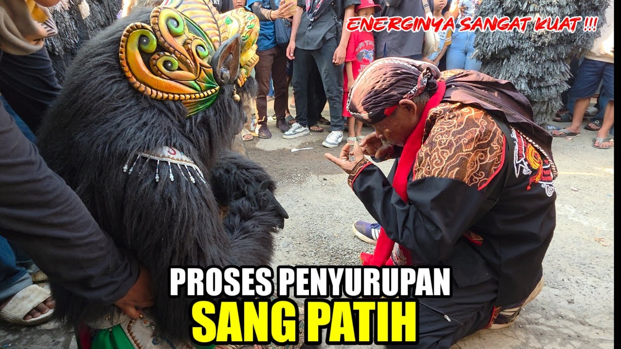 KUDA LUMPING MSP GRANDONG DI HADIRKAN DI SORE HARI❗️❗️LEMBUR KURING