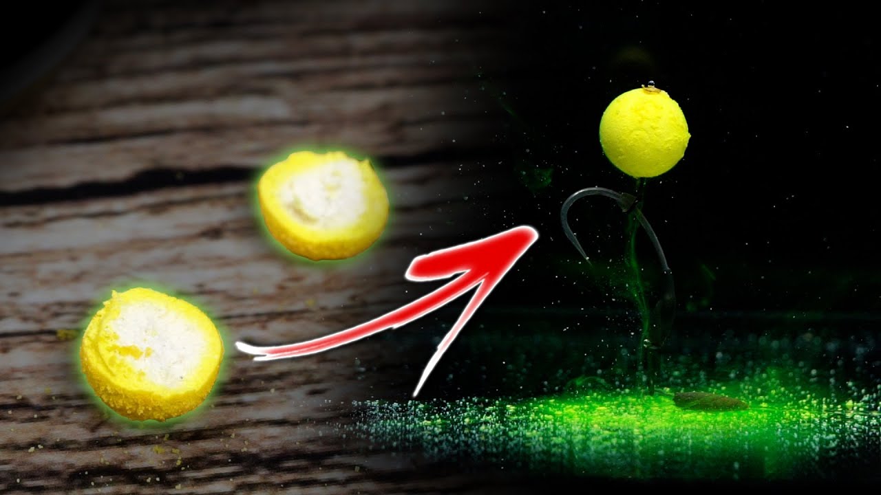 ELEVATE Your Hookbait Attraction- Carp Fishing Tips- NEW NS1 HALO 🟡