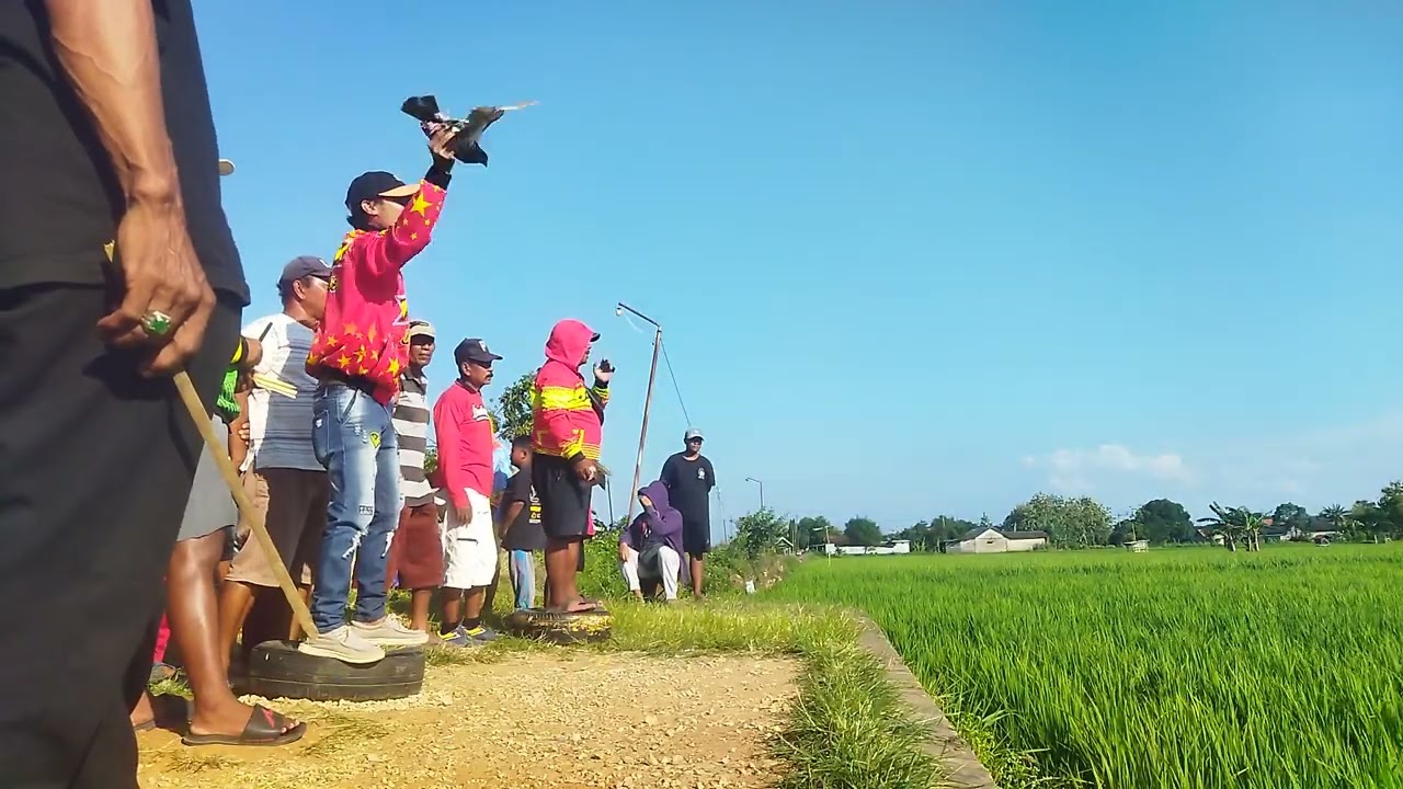 Glatama 500 m lap babbalan buangan B.. rekap pertama Jum'at 30-jan-2026