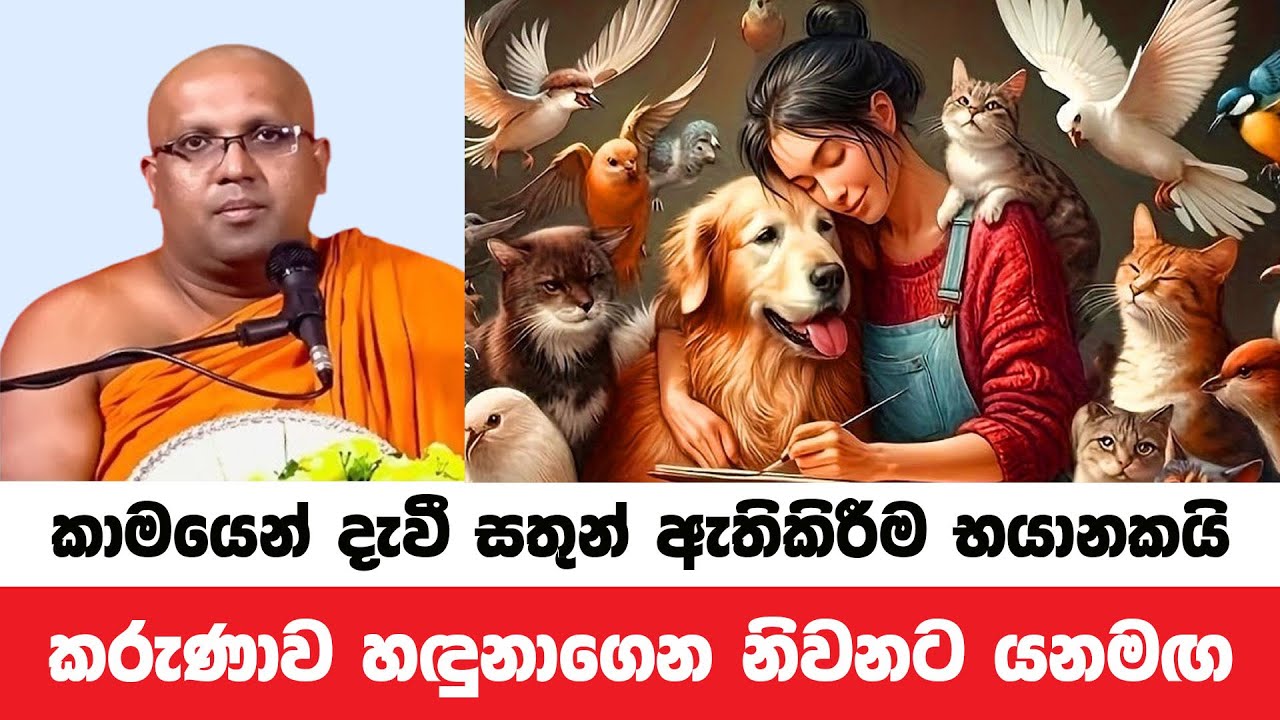 කාමයත් කරුණාවත් හඳුනාගෙන නිවී සැනසෙන්න | Kelaniye Sasanawansa Thero | Dharmadeshana 134