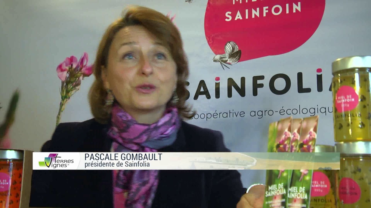Le grand retour du sainfoin et de son miel
