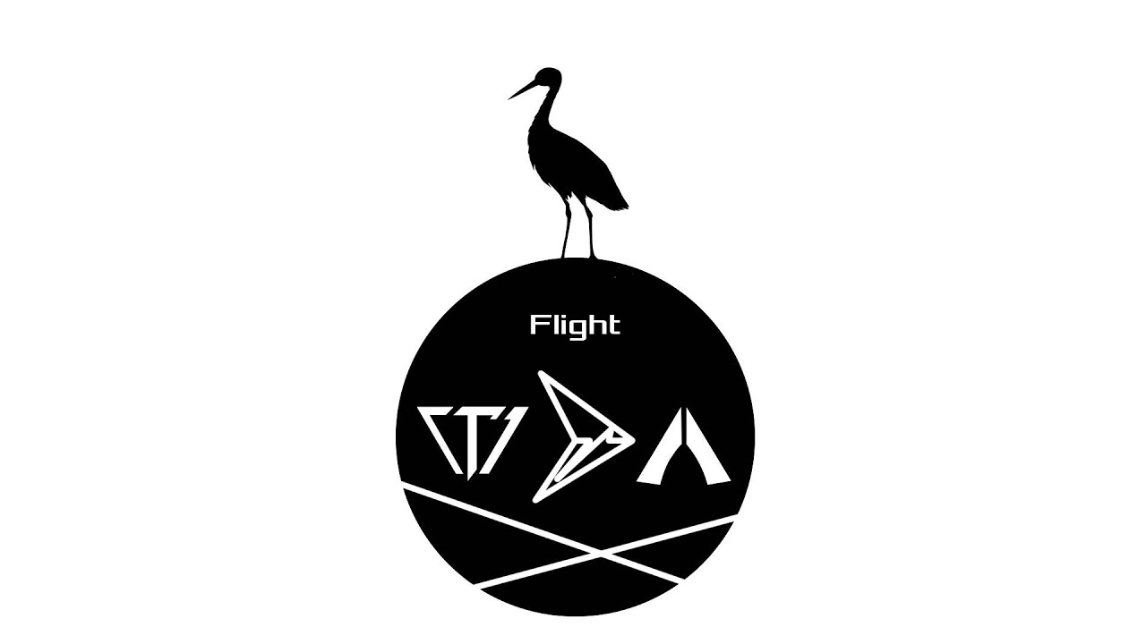 DEgITx - Flight (Tristam & Braken Metal/Rock Cover)