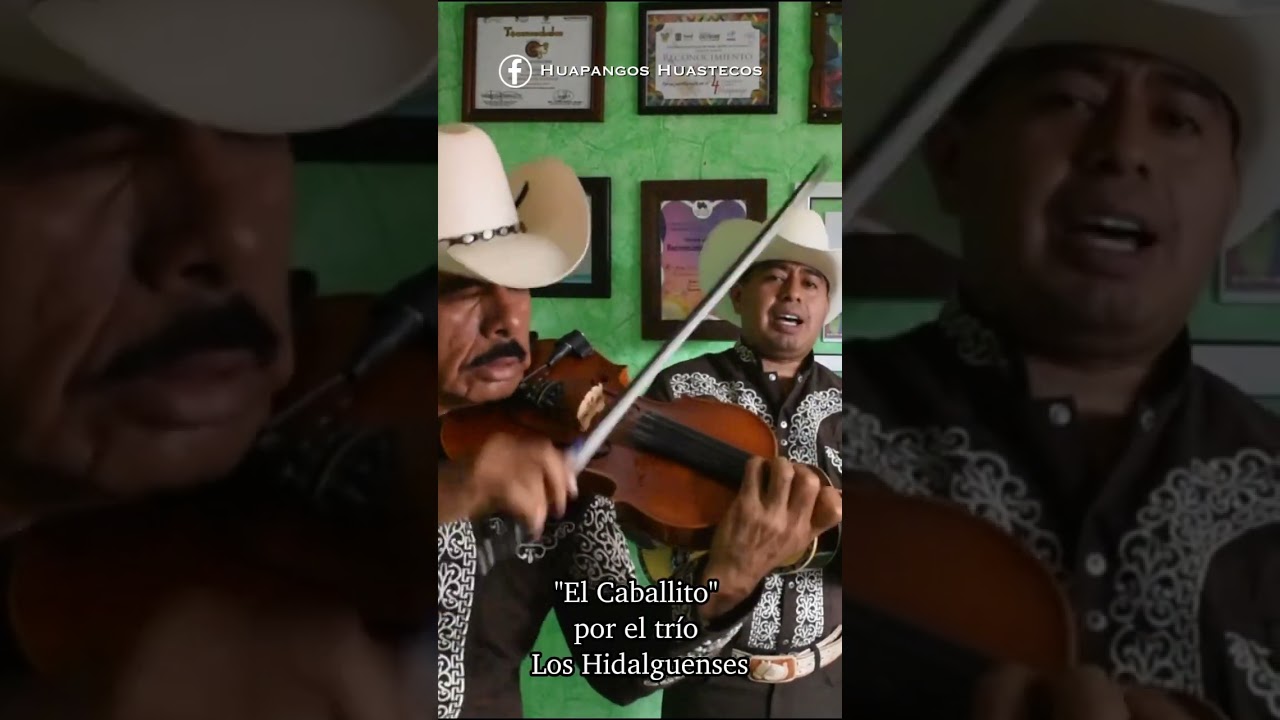 Mix de Huapangos con el Tr&iacute;o Chicontepec, Los Hidalguenses y Gorri&oacute;n Huasteco
