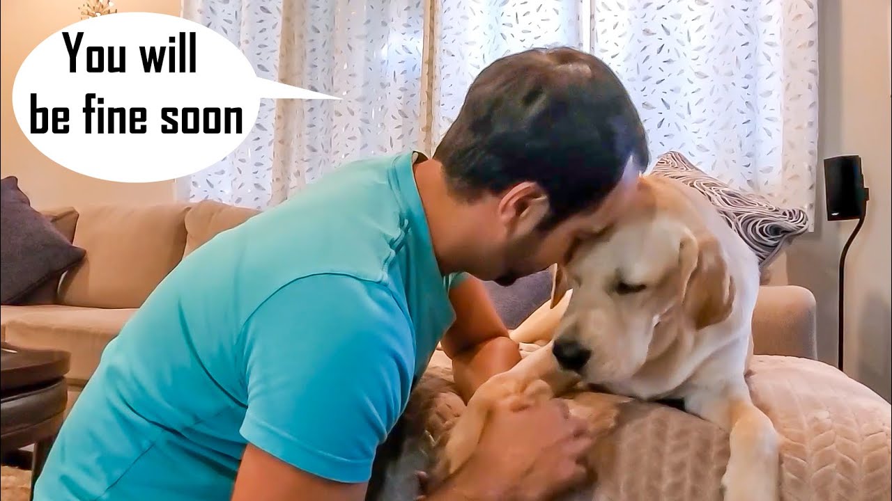My Dog is Not Well | My Dog is Limping | Emotional Video