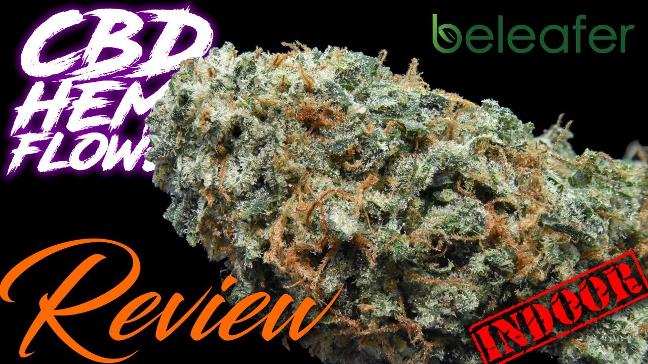 Bubba Kush X Critical Mass From Beleafer! Fire New Strain! | CBD Hemp Flower Review