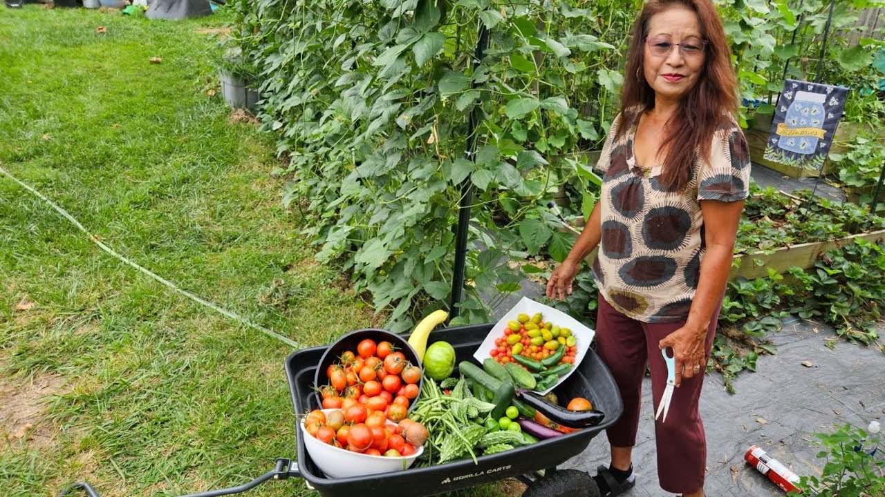 KA HUANAH LO LENG  VE LEH  RAWH U LE!😊THLAI KAN THARTE HI KA LO SHARE LEH CHE U!❤️ #vegetablegarden