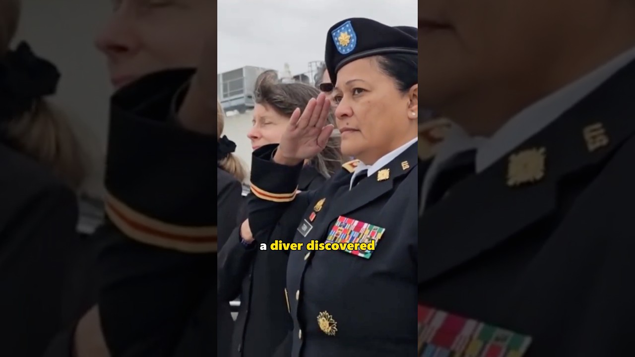 81 год тишины, теперь мир 🕊️ 