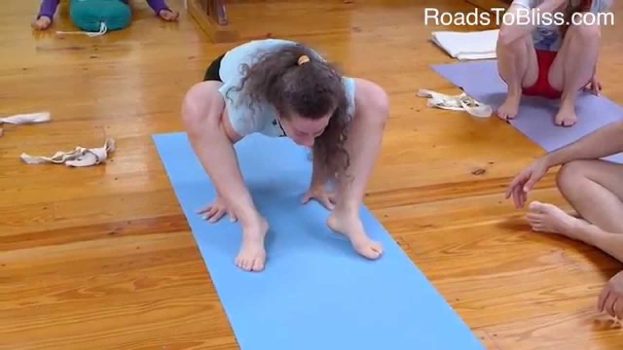 Tittibhasana with Lois Steinberg,  Certified Iyengar Yoga Teacher Advanced 2