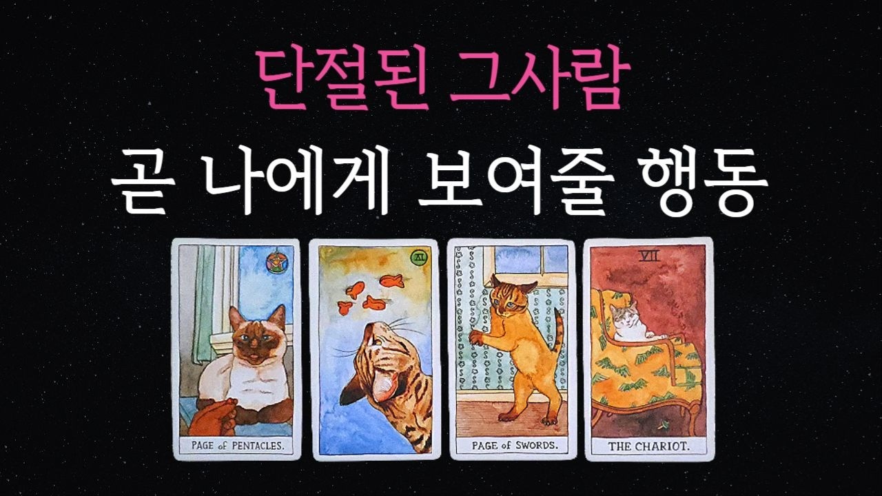 [타로💘]🔮단절된 그사람 곧 나에게 보여줄 행동방식은?❣️🔥팩폭주의🔥🌷속마음,재회,썸🕊️연락운🕊️재회