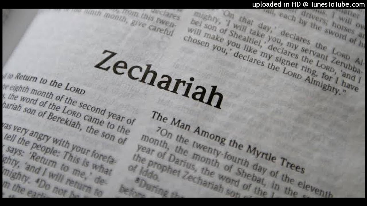 Torah | Zechariah Hebrew Recitation תורה | זכריה דקלום עברי |