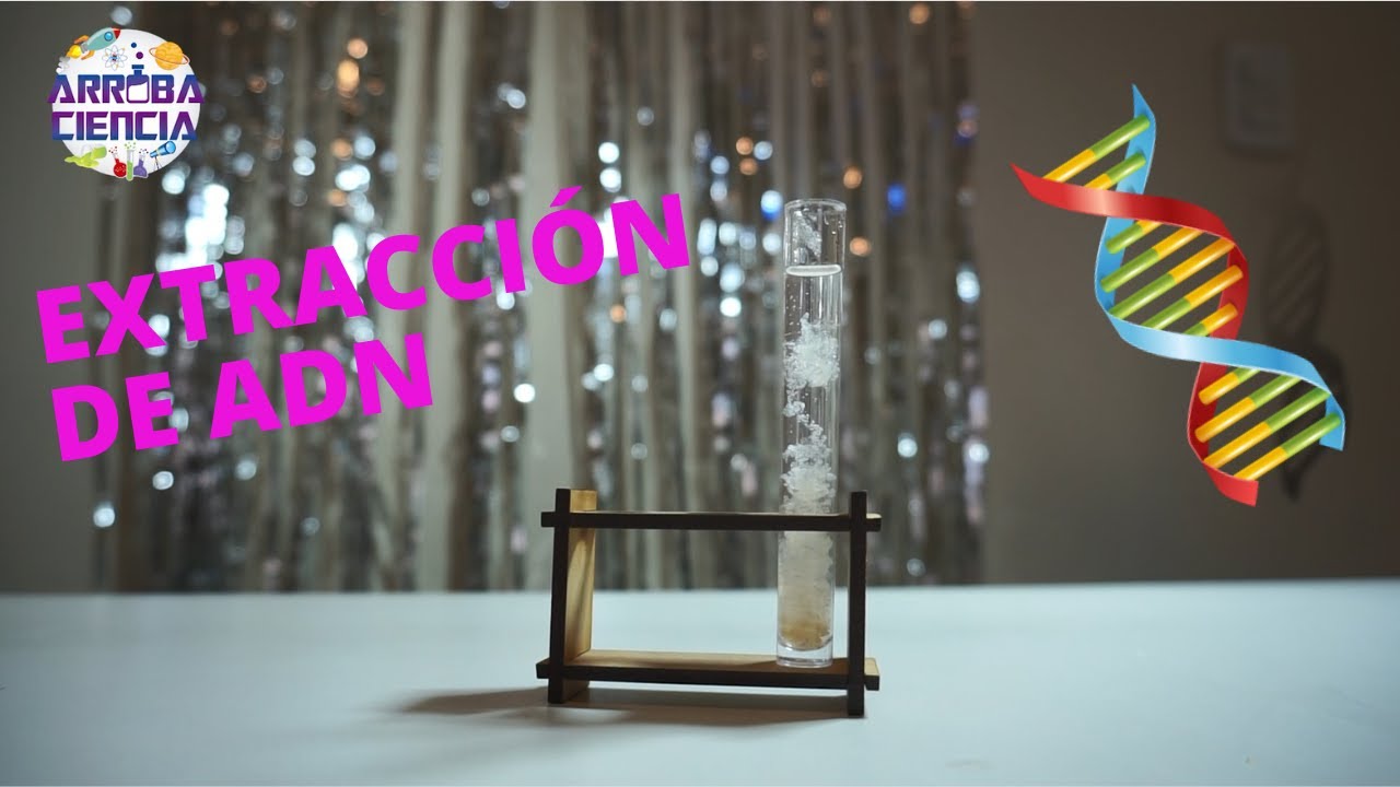 EXTRACCIÓN DE ADN CON BANANA (platano)