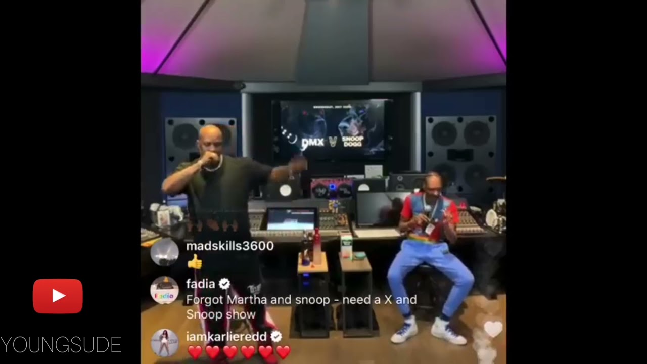 DMX - SLIPPIN | ON VERZUZ