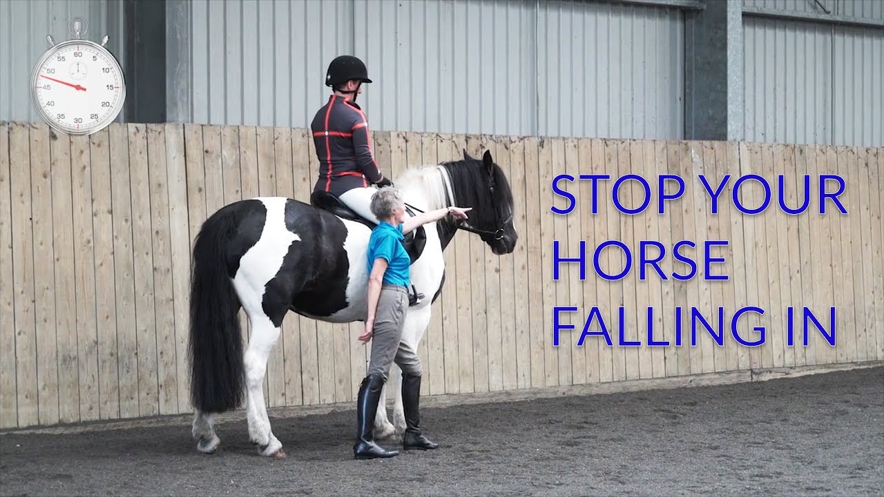 How To Stop Your Horse Falling In