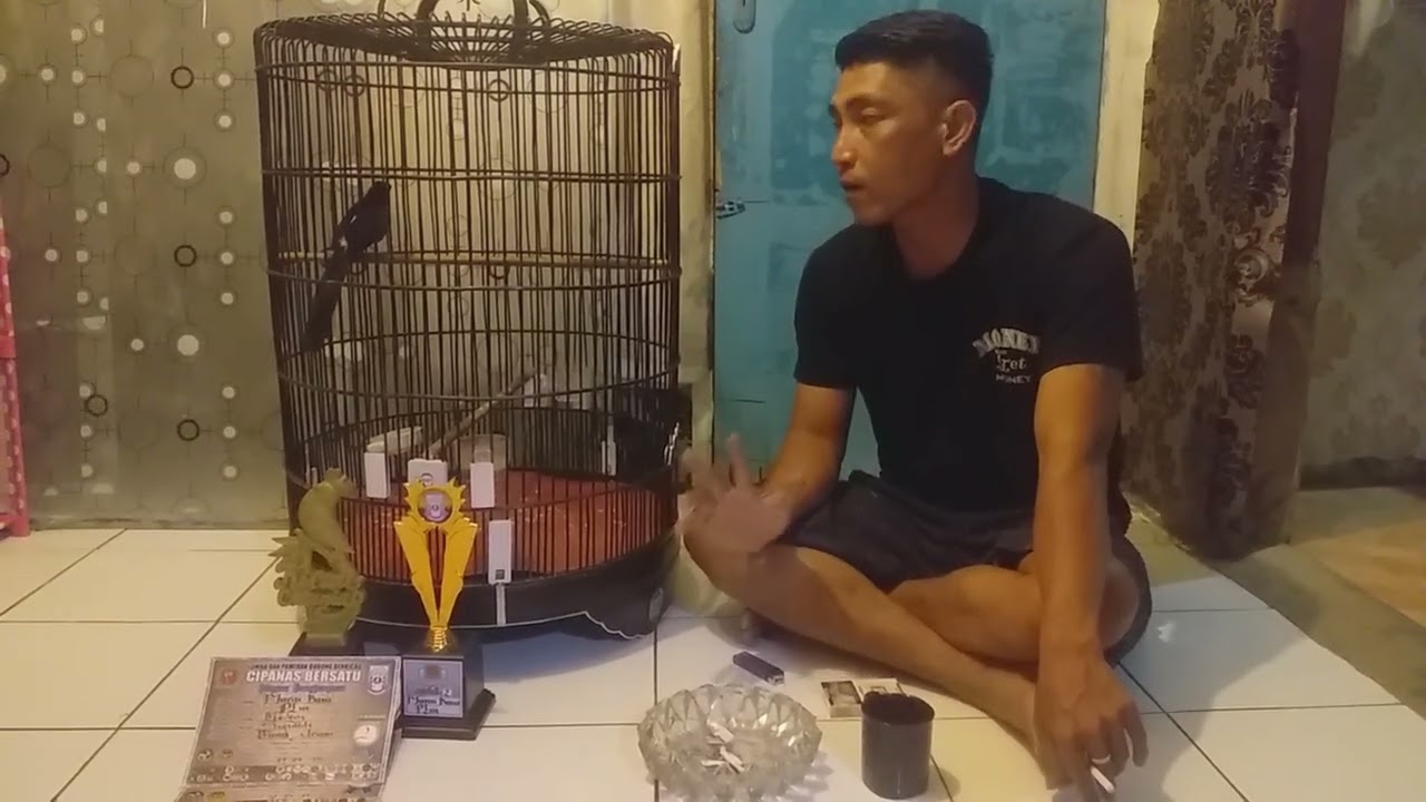 KUPAS TUNTAS RAWATAN HARIAN DAN LOMA DI SINI!!! PALING GAMPANG RAWAT BURUNG JINAK