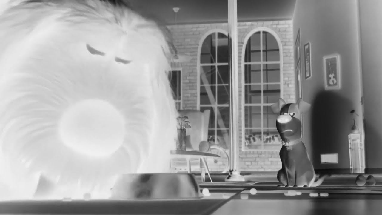 That's My Bowl! - The Secret Life Of Pets (Sponsored By:  Gamavision Csupo Effects)