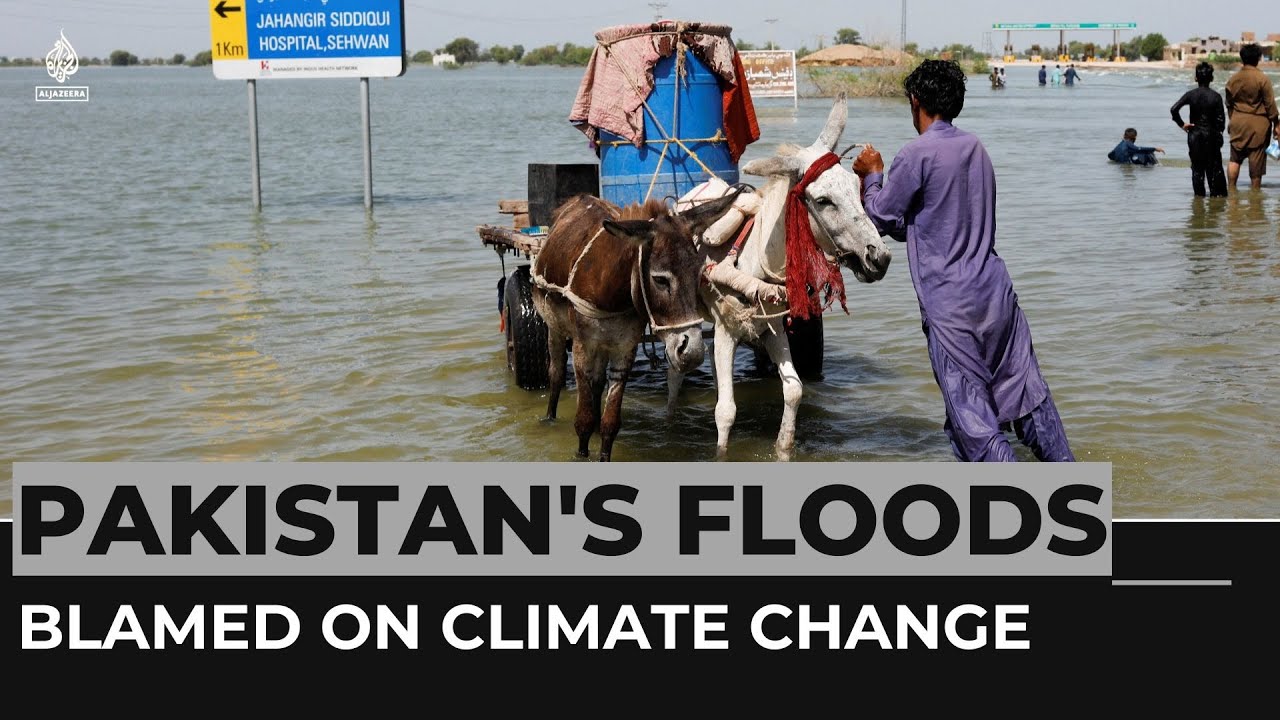 Pakistan facing 'monsoon on steroids&rsquo; catastrophe, UN chief warns