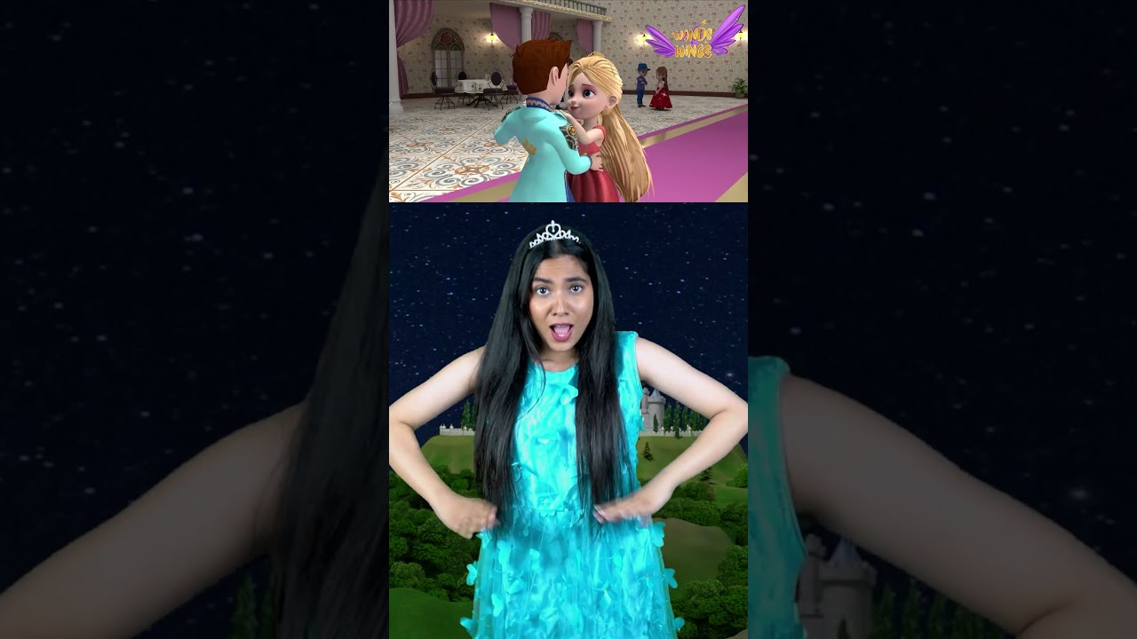 Princess Cinderella Story