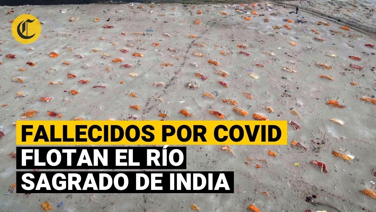 LA PEOR CARA DEL COVID: En INDIA, miles de cuerpos fallecidos por COVID flotan en el río Ganges