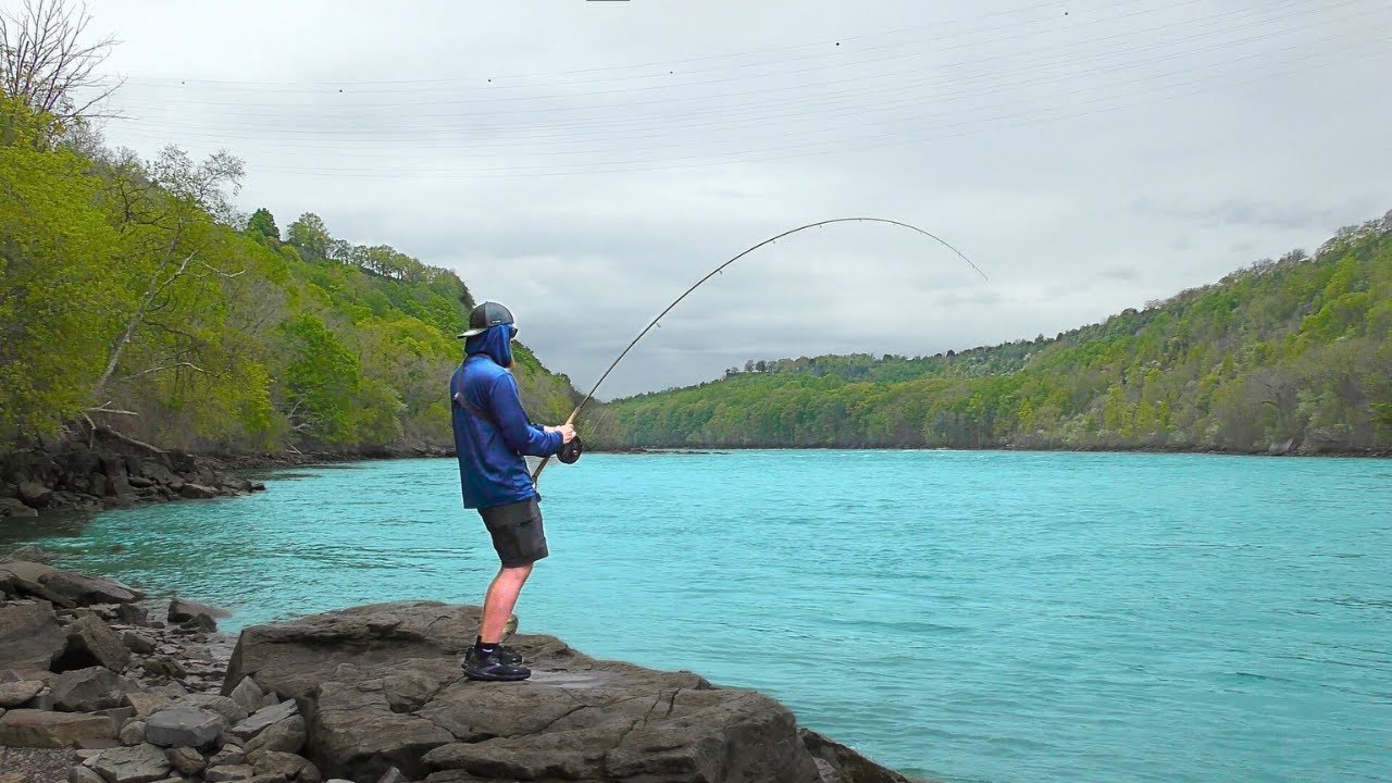 I'm Hooked onto Something Big... (Niagara River Fishing)