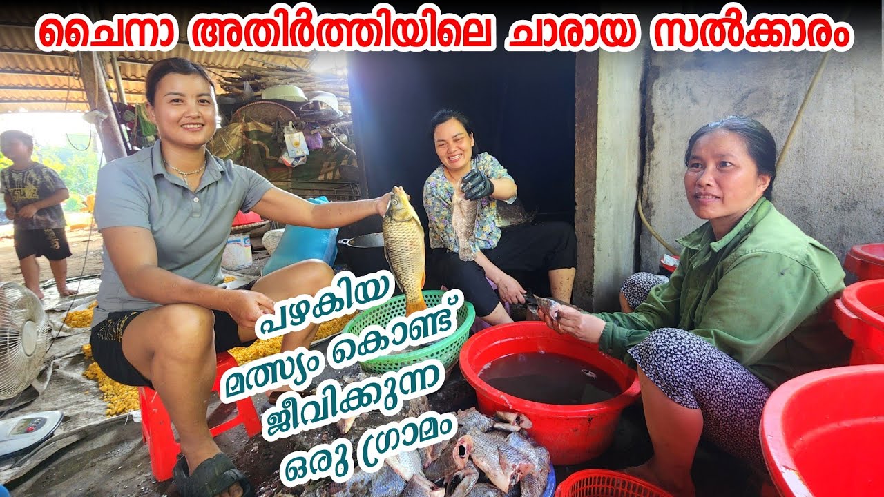 ചൈനാ അതിർത്തിയിൽ എനിക്ക് കിട്ടിയ ചാരായ സൽക്കാരം | ചത്ത മീൻ എടുക്കപ്പെടും..!