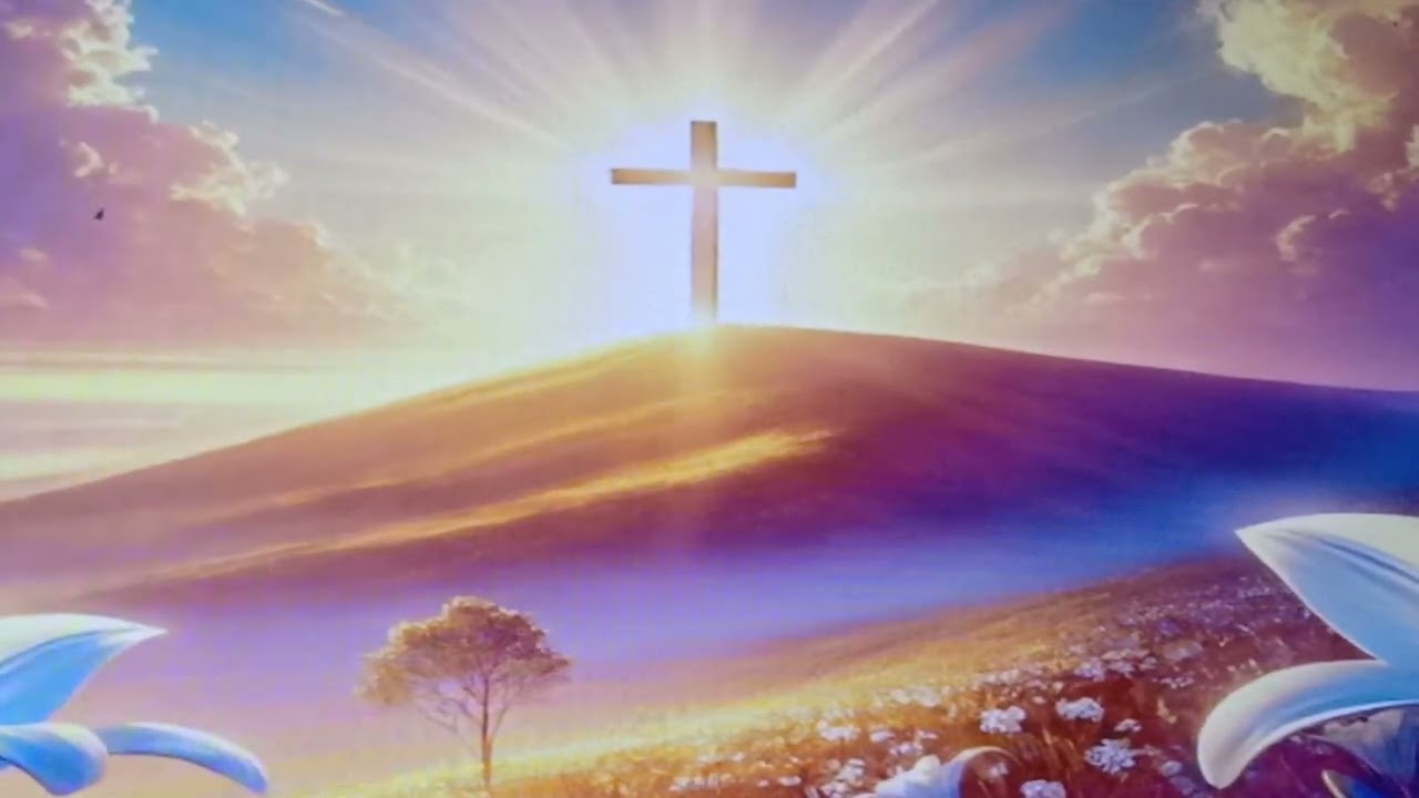 By your endurance you will gain your souls (Lk 21,19). #endurance #save