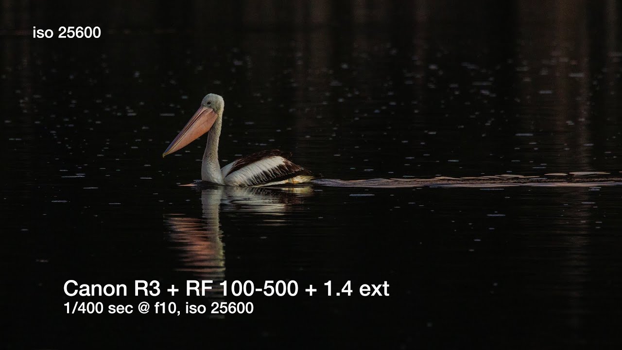 Canon R3. An R1 alternative. 