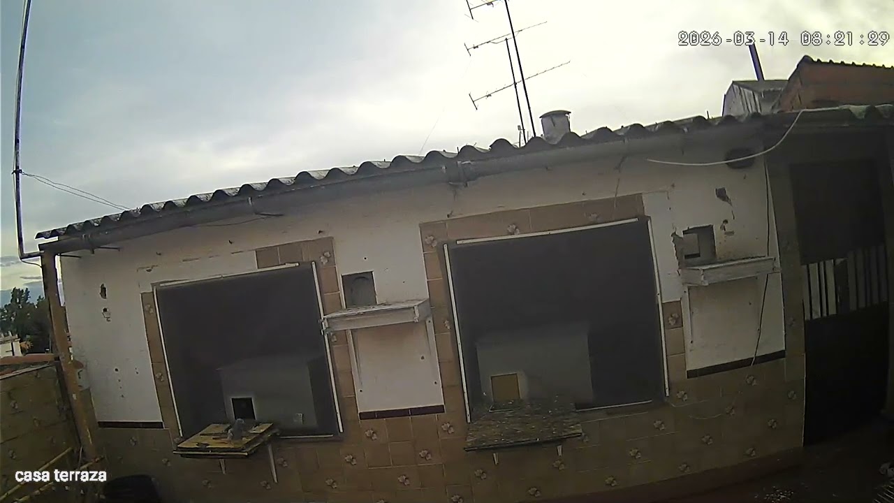 El abogado 