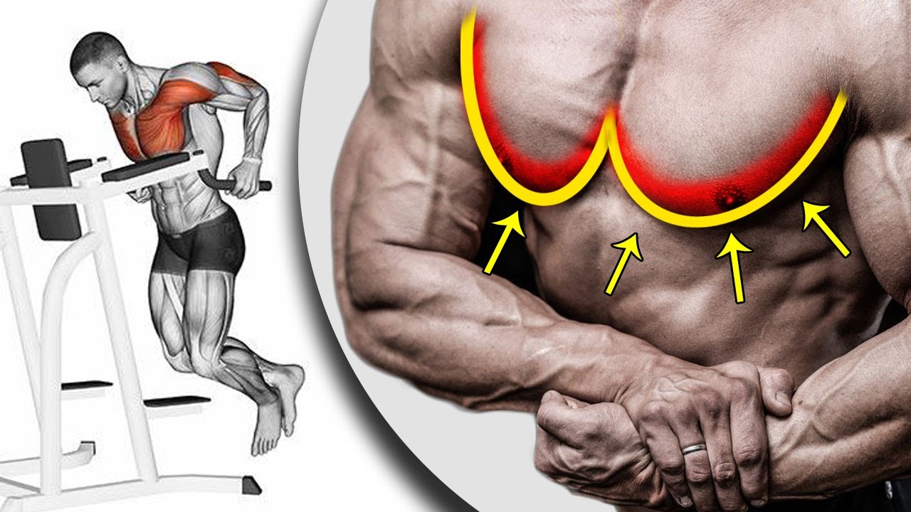 اقوى 10 تمارين الصدر وابراز  منطقة سفلية لصدر | ( LOWER Chest Solution )