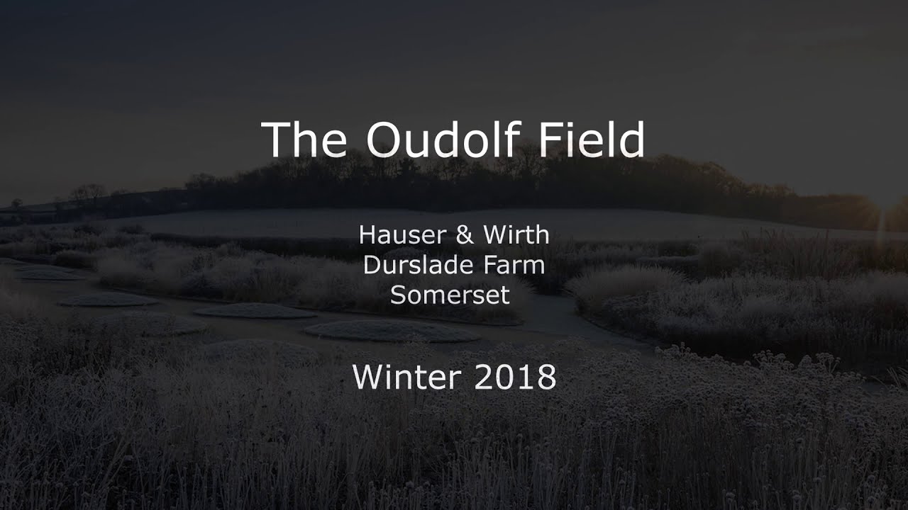 The Oudolf Field, Hauser & Wirth, Somerset - Designed by Piet Oudolf - Photography by Jason Ingram
