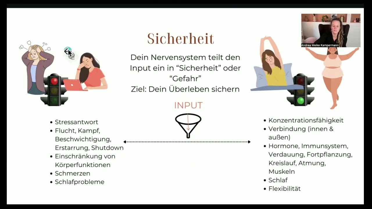 Wie wirkt NeuroSomatics?