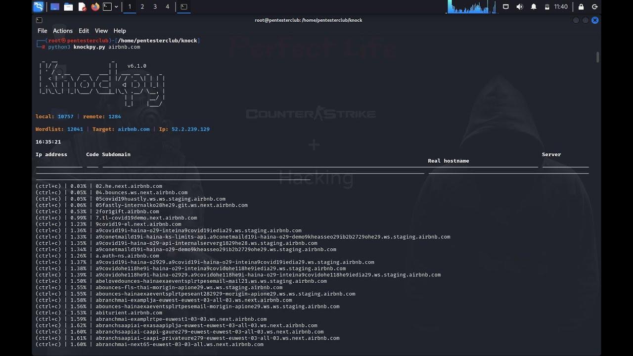 Unveiling the Power of Knock: Exploring Subdomain Scanning Techniques!
