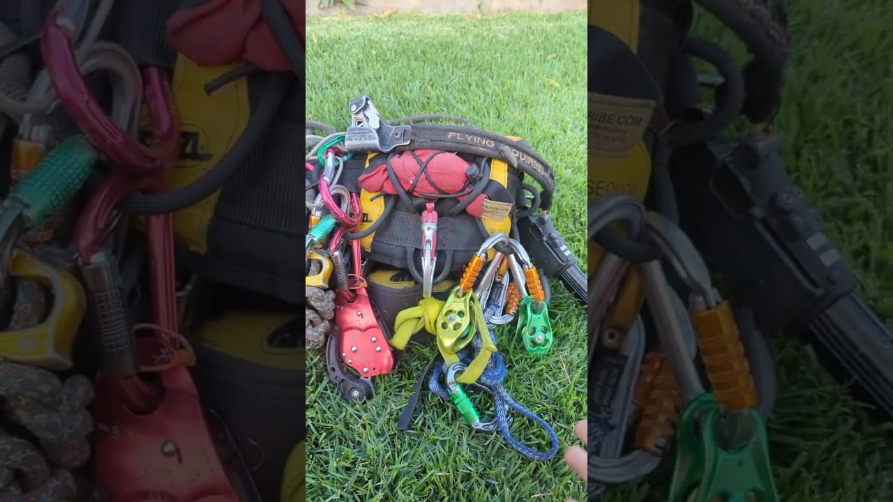 Harness set up, March 2024