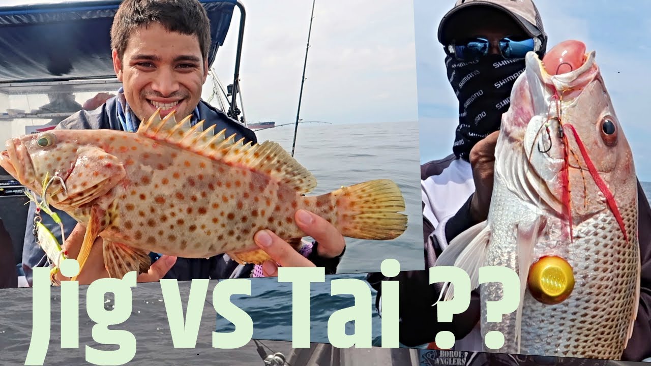 Slow Jigging vs Tai Rubber bersama Apeng's Angler Territory