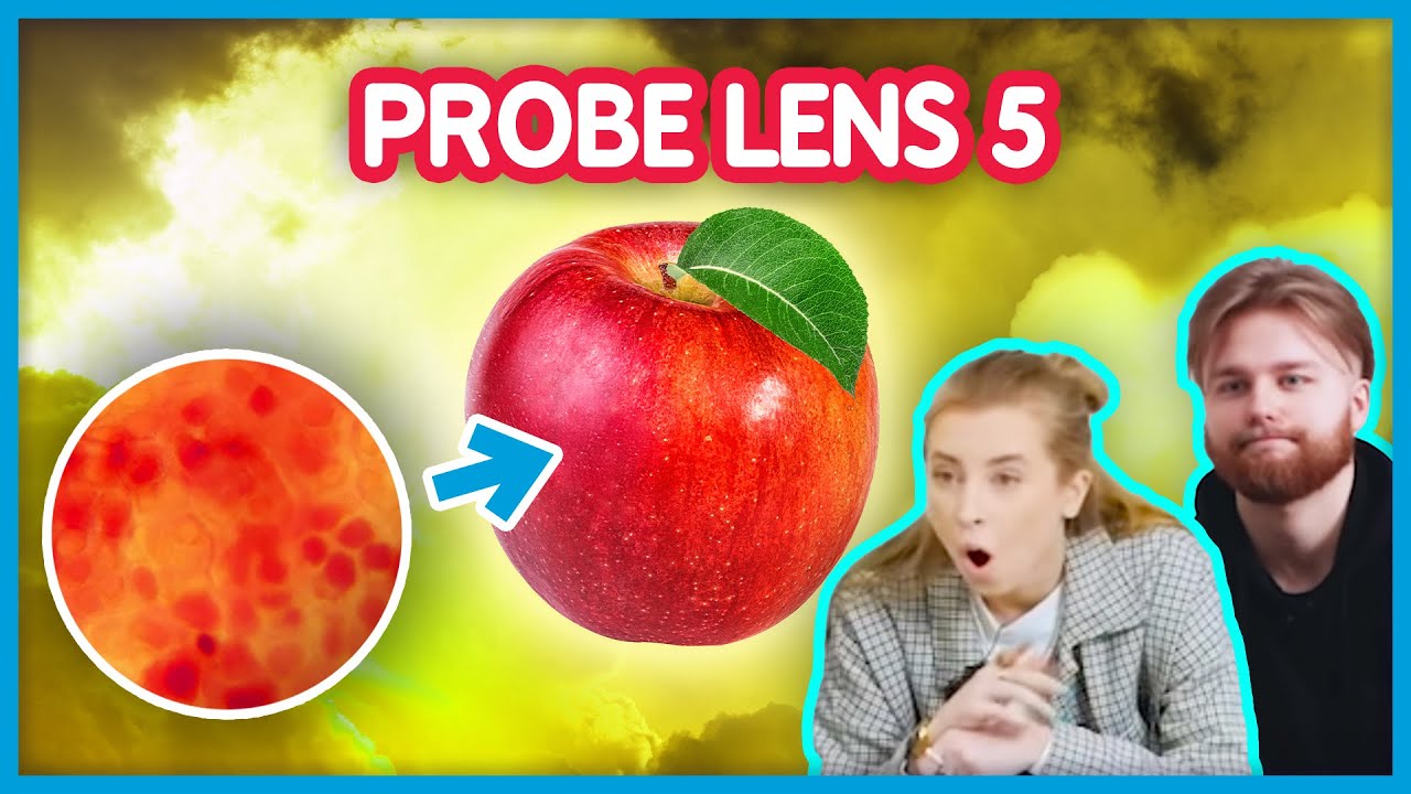 Probe lens | 5 dalis | ADOMAS, PAJADAITĖ ir Talžūnas, STIMOMEDIA, Vėjas, Lauritta | PILDYK Ofisas